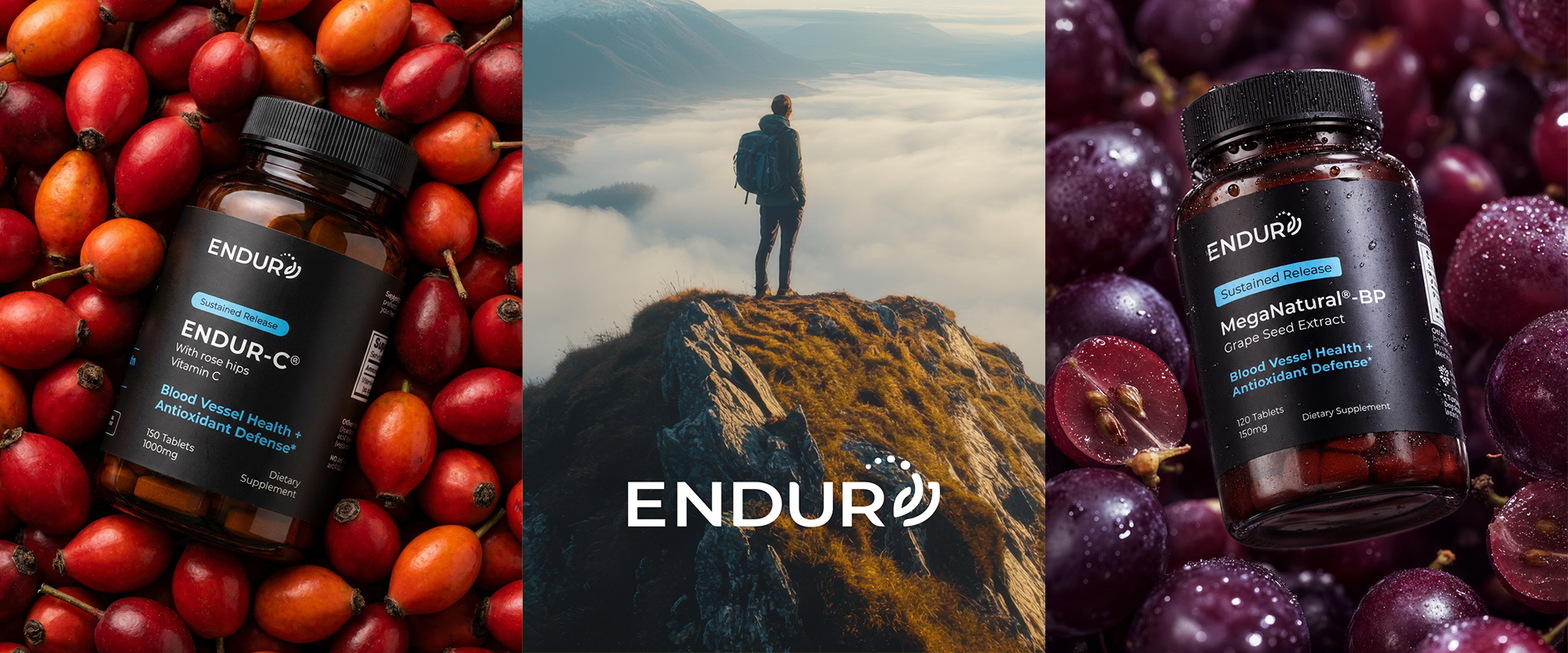 2026.09-Banners-slider-home-endur